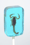Hotlix: Scorpion Suckers Assorted Flavors Box - Sweets and Geeks