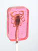 Hotlix: Scorpion Suckers Assorted Flavors Box - Sweets and Geeks