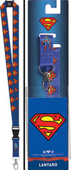 DC Comics Lanyard - Sweets and Geeks