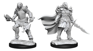 Dungeons & Dragons Nolzur's Marvelous Unpainted Miniatures W15 - Female Dragonborn Fighter - Sweets and Geeks