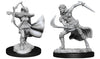 Dungeons & Dragons Nolzur's Marvelous Unpainted Miniatures W15 - Air Genasi - Sweets and Geeks