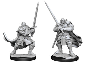 Dungeons & Dragons Nolzur's Marvelous Unpainted Miniatures W15 - Half Orc Paladin - Sweets and Geeks