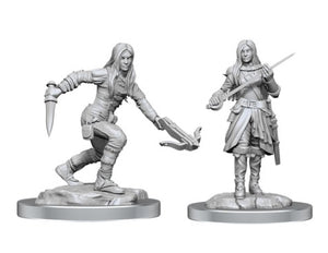 Dungeons & Dragons Nolzur`s Marvelous Unpainted Miniatures: W17 Half-Elf Rogue Female - Sweets and Geeks
