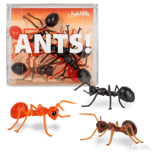 ANTS! - Sweets and Geeks