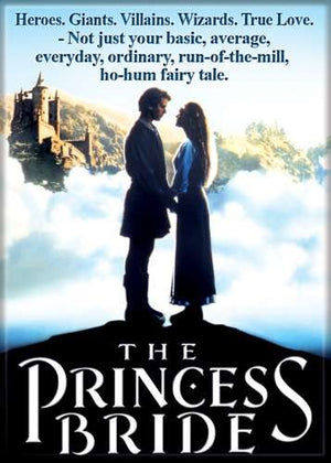 The Princess Bride Magnets - Sweets and Geeks