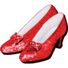 Ruby Slippers - Funky Chunky Magnet - Sweets and Geeks