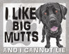 Big Mutts Tin Sign - Sweets and Geeks