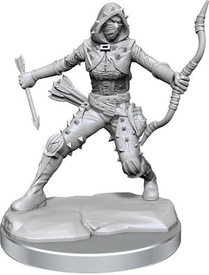 Dungeons & Dragons Frameworks: W01 Human Rogue Female - Sweets and Geeks