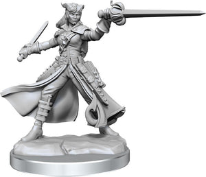 Dungeons & Dragons Frameworks: W01 Tiefling Rogue Female - Sweets and Geeks