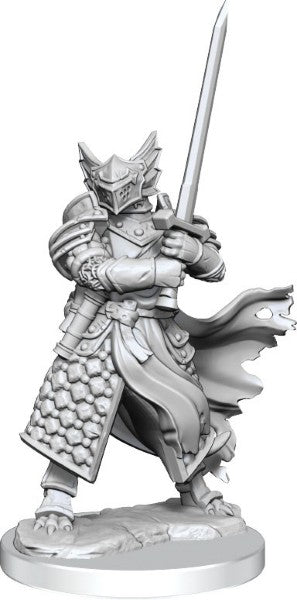 Dungeons & Dragons Frameworks: W01 Dragonborn Paladin Male - Sweets and Geeks