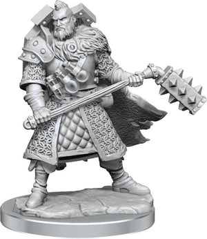 Dungeons & Dragons Frameworks: W01 Human Fighter Male - Sweets and Geeks