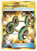 Bodybuilding Dumbbells (Secret) SM - Burning Shadows # 161/147 - Sweets and Geeks