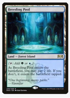 Breeding Pool - Ravnica Allegiance - #246/259 - Sweets and Geeks