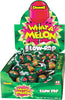 Charms Blow Pop Lollipops - What-A-Melon - Sweets and Geeks