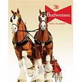 Bud Clydesdale Team Tin Sign - Sweets and Geeks