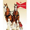 Bud Clydesdale Team Tin Sign - Sweets and Geeks