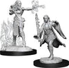 Dungeons and Dragons Nolzur's Marvelous Unpainted Miniatures: W13 Multiclass Warlock + Sorcerer Female - Sweets and Geeks