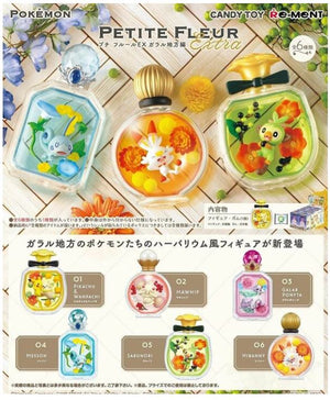Re-ment Pokemon Petite Fleur EX Galar Region Pack - Sweets and Geeks
