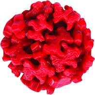 Scottie Dog Red Licorice Bulk Candy - Sweets and Geeks