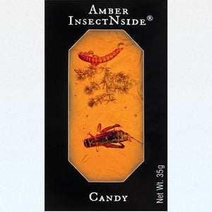 Amber Brittle - Sweets and Geeks