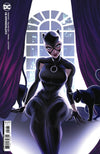 Catwoman #51 (Sweeney Boo Card Stock Variant) - Sweets and Geeks