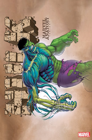 Hulk #11 (Lobe Marvel Anatomy Variant) - Sweets and Geeks