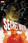 Secret Invasion #2 (Johnson Variant) - Sweets and Geeks