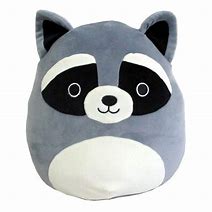 Squishmallow - Randy the Racoon 16in - Sweets and Geeks