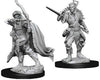 Dungeons & Dragons Nolzur's Marvelous Unpainted Miniatures: W7 Elf Male Rouge - Sweets and Geeks