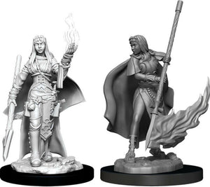 Pathfinder Deep Cuts Unpainted Miniatures: W11 Human Female Oracle (Magic User) - Sweets and Geeks