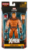 Hasbro Marvel Legends X-Men: Sabretooth - Age of Apocalypse 6-inch Action Figure - Sweets and Geeks