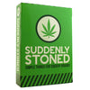 Suddenly Stoned - Sweets and Geeks