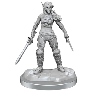 Dungeons & Dragons Nolzur`s Marvelous Unpainted Miniatures: W19 Elf Rogue & Half-Elf Rogue Protégé - Sweets and Geeks