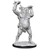 Dungeons & Dragons Nolzur`s Marvelous Unpainted Miniatures: W12.5 Ettin - Sweets and Geeks