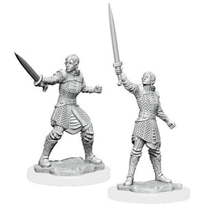 Critical Role Unpainted Miniatures: W1 Human Dwendalian Empire Fighter - Sweets and Geeks