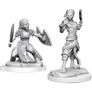 Dungeons and Dragons Nolzurs Marvelous Unpainted Miniatures: W20 Shifting Fighter - Sweets and Geeks