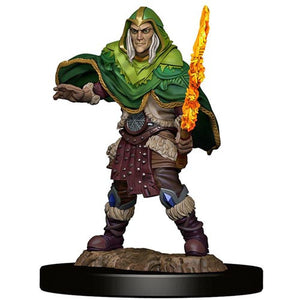 D&D Premium Painted Figure: W5 Male Elf Fighter - Sweets and Geeks