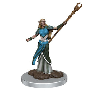 D&D: Icons of the Realms - W7 Female Elf Sorcerer - Sweets and Geeks
