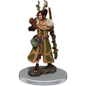 D&D: Icons of the Realms - W7 Female Human Druid - Sweets and Geeks